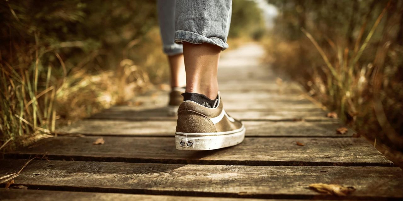 Walking in the Light of Obedience: A Reflection on 1 John 2:3-8