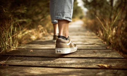 Walking in the Light of Obedience: A Reflection on 1 John 2:3-8