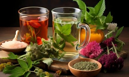 My Hypothyroidism Healing Journey